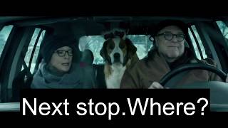 #24 (231-240) Najpopularniejsze słowa w języku angielskim