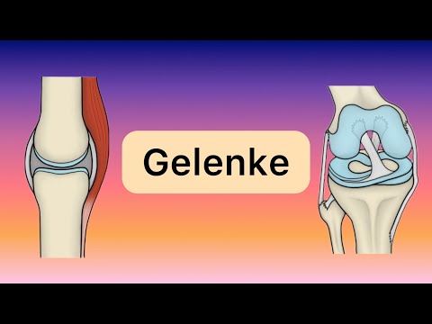 Echte und unechte Gelenke