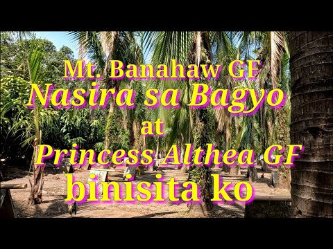 EP507 part 2: Tinamaan ng bagyo ang Mt. Banahaw/Princess Althea GF