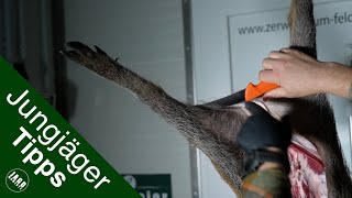 Wildschwein abschwarten | Jungjägertipps