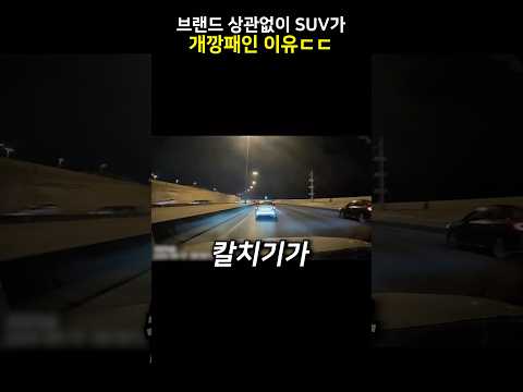 브랜드 상관없이 SUV가 개깡패인 이유