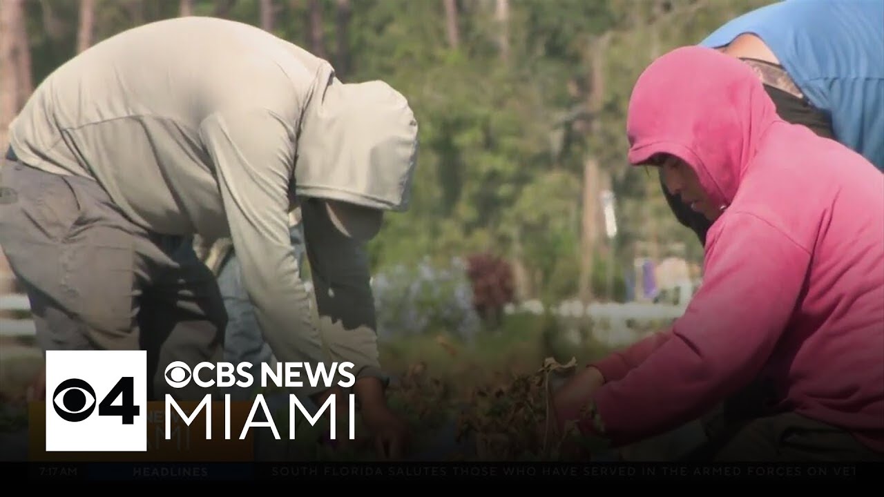 Trump's promise of mass deportations sparks concern among migrant families