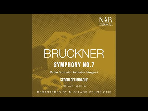 Symphony No. 7 in E Major, WAB 107, IAB 114: I. Allegro moderato