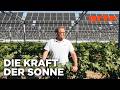 Wie Können Wir Die Sonne Clever Nutzen Gute Nachrichten Vom Planeten ARTE