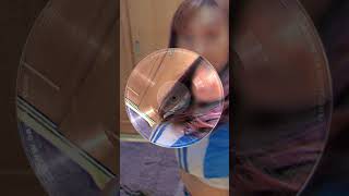 レースクイーン