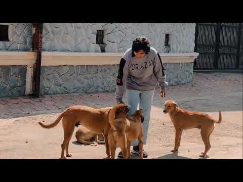 Equilibrium | Deeksha Kahar, MAJMC | SJMC