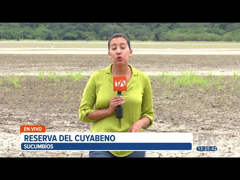 La laguna más grande de la reserva de cuyabeno está completamente seca