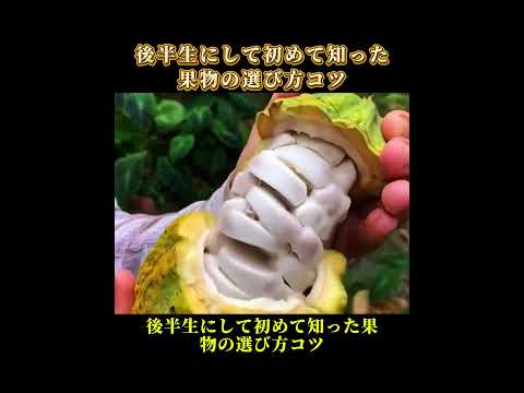 後半生にして初めて知った果物の選び方コツ··· #豆知識 #豆知識雑学 #生活のコツ #果物