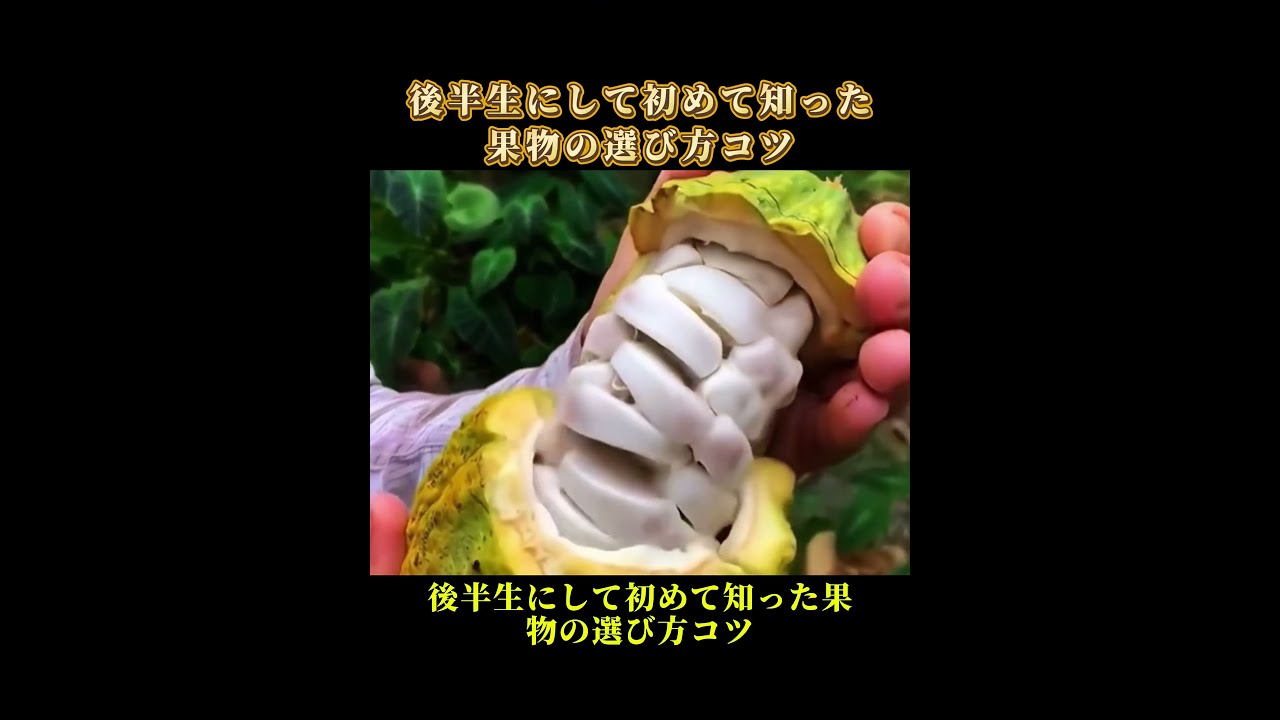 後半生にして初めて知った果物の選び方コツ··· #豆知識 #豆知識雑学 #生活のコツ #果物