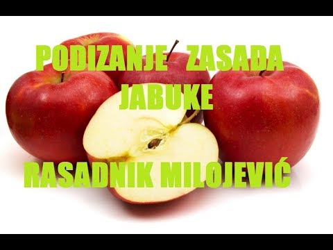 Kako smo sadili VOĆNJAK JABUKE 2019 Ajdared