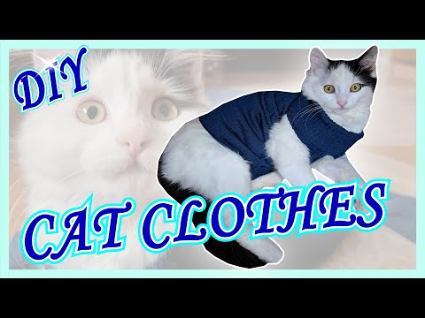 DIY  Cat clothes IDEAS! | How to make a sweater for your cat!