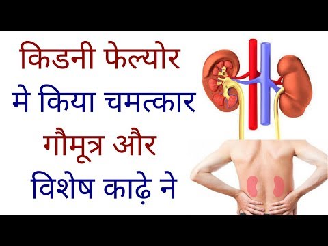 download lagu mp3 mp4 Cow Urine Benefits For Kidney, download lagu Cow Urine Benefits For Kidney gratis, unduh video klip Cow Urine Benefits For Kidney