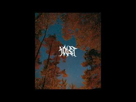 [FREE] no drums, midwest emo guitar type beat | "variables"