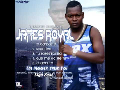 James Royal - Que me hiciste tu [Prod. Liga Zuat] (CD Promocional)