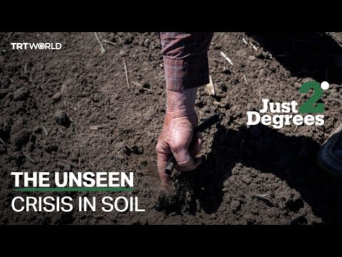 Soil Dynamics: The Unseen Forces Shaping Our Planet | Golden Age