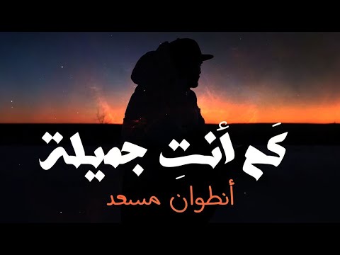 Antoine Massaad - Kam Anti Jamila [Official Lyric Video] | انطوان مسعد - كَم أنتِ جميلة