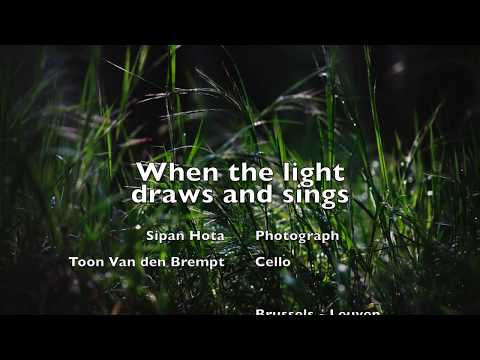 When the light draws and sings - Solo Cello - Toon Van den Brempt