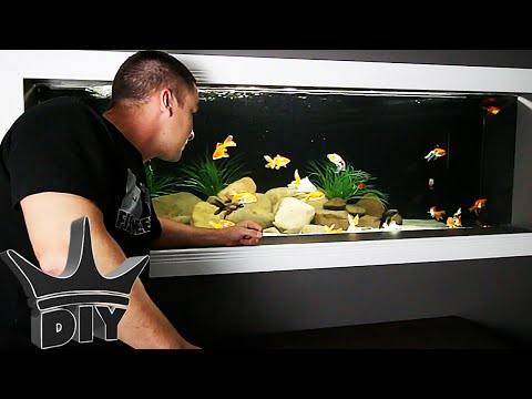 My HUGE goldfish aquarium UPDATE!