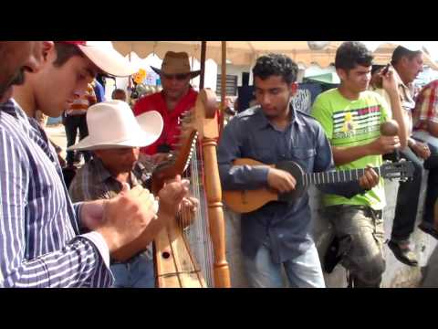 SABANAS DE CUNAVICHE. ELORZA 2015