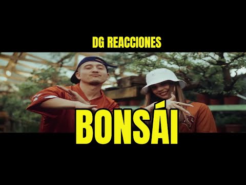 COLOMBIANO REACCIONA A / CHYSTEMC, SANTA SALUT - BONSÁI  /💙♪♫🌟  DGREACCIONES 🔥