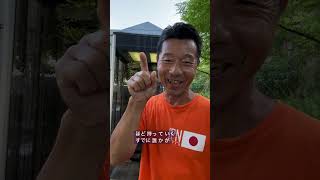 スマホがないときの恋愛事情　#黒電話 #津幡町 #参政党