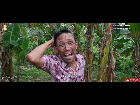 wa-genda-forever-bolehkah-ganti-cucu