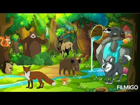 🐻"Animale sălbatice din țara noastră"🐺 | Cunoasterea mediului