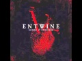 Entwine - Everything For You (Acoustic) + lyrics ...