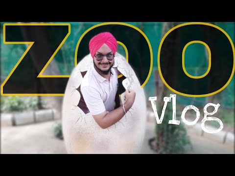 Visiting Zoo after so long | School memories get refresh|