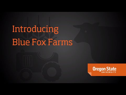 Oregon Farmer: Blue Fox Farm intro