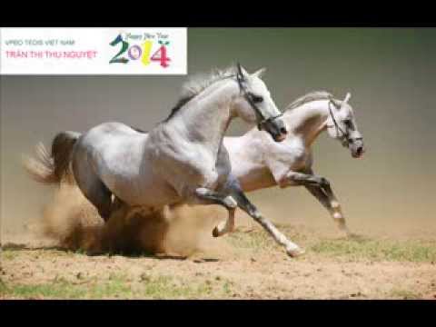 Liên khúc lý ngựa ô 3 miền