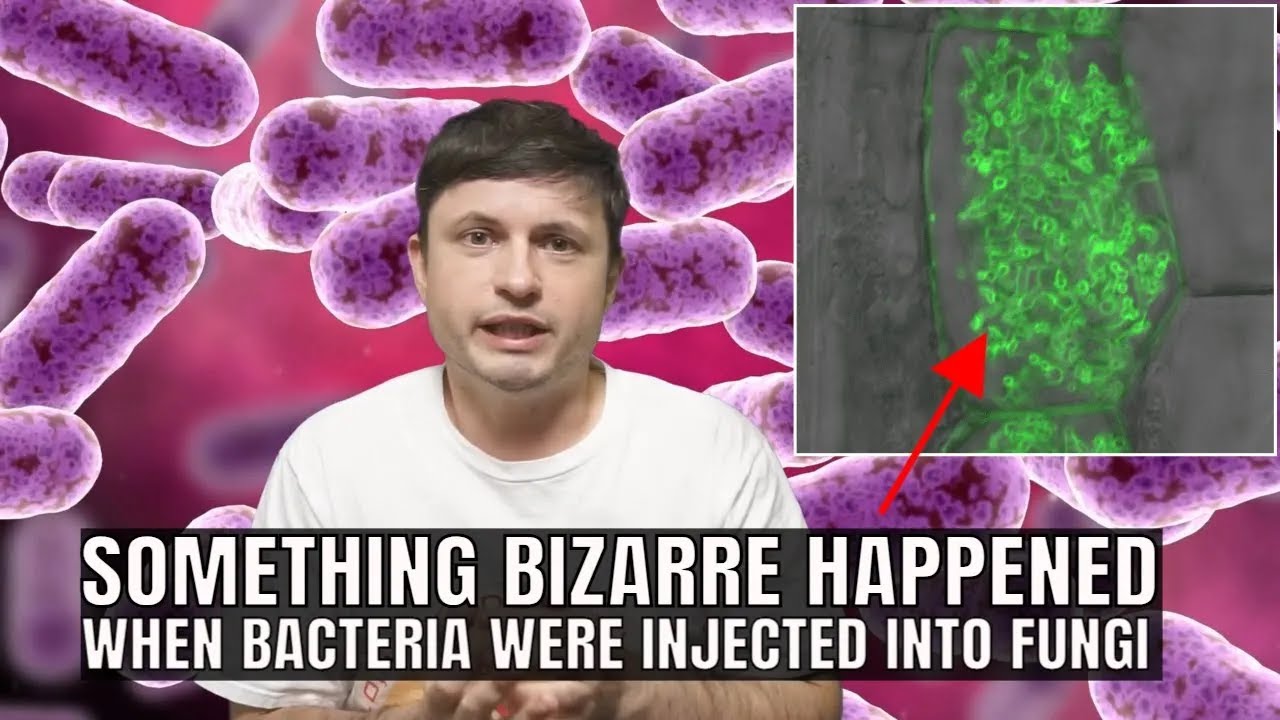 Groundbreaking Experiment Forced Organisms To Become Symbiotic