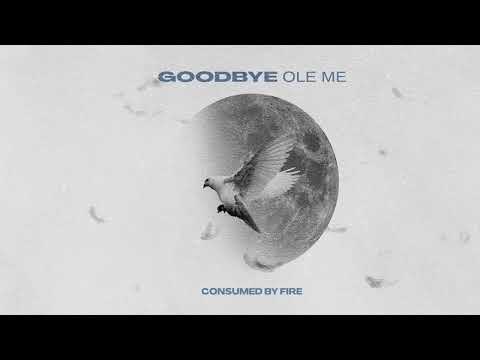 Consumed By Fire - Goodbye Ole Me (Visualizer)