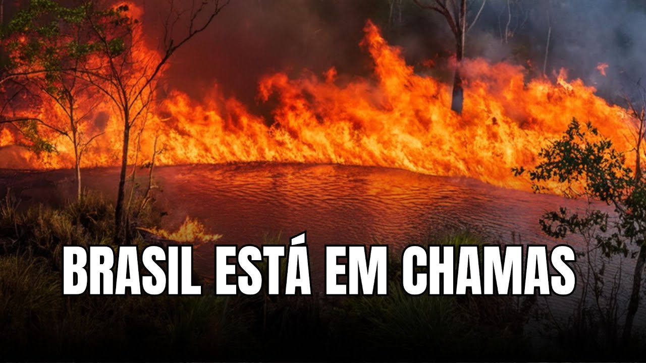 Queimadas e Incêncios no Brasil, o que está acontecendo ? - Geobrasil