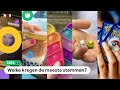 Dit vinden kinderen de trends van 2021