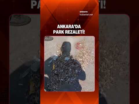Ankara'da Parkı Kirletenlere Vatandaştan Tepki