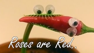 Roses are red...