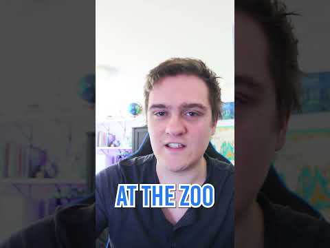 Jawed's DELETED YouTube Videos REVEALED!