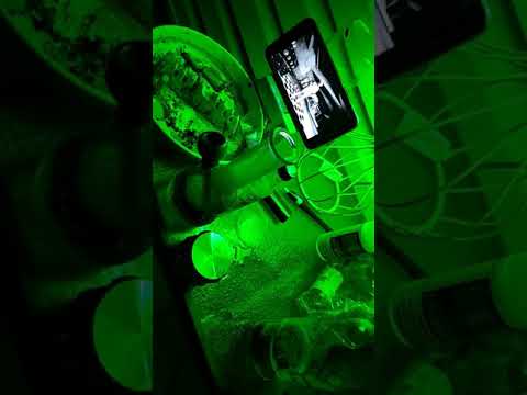 Missy elliot party goes hilarious lmfao