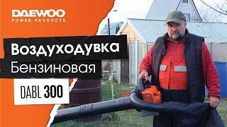 Воздуходувка бензиновая DAEWOO DABL 300 - видео №1