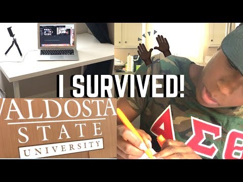 download lagu mp3 mp4 Cnm School, download lagu Cnm School gratis, unduh video klip Cnm School