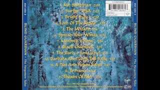 Blind Guardian - Mordred&#39;s Song (Acoustic)