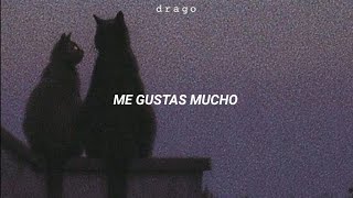 Rocio Dúrcal - Me Gustas Mucho [Letra]