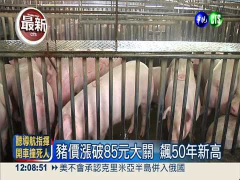 4家"肉蟲"哄抬豬價 農委會開鍘