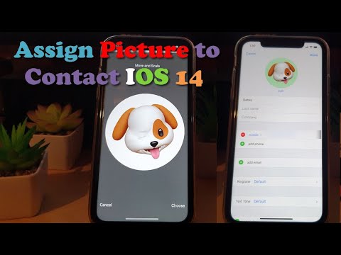 Assign Picture to Contact iPhone (IOS 14)