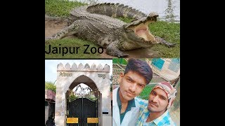 preview picture of video 'Jaipur Zoo ! Rajasthan ✓Vlog✓ The journey'