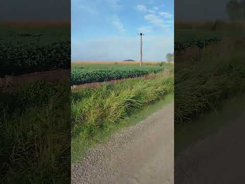 zona rural San Carlos centro