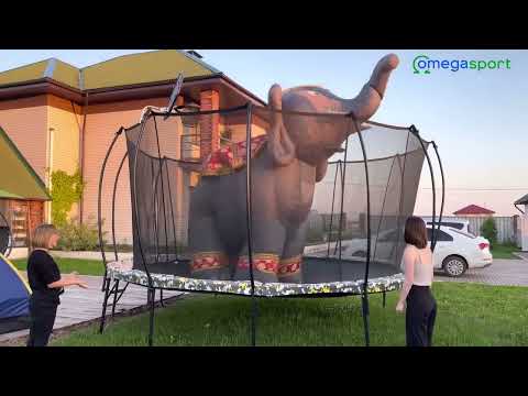 Слон на батуте HASTTINGS SUPERFLY 