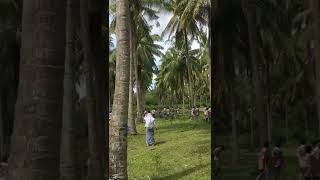 Download lagu SMAN 1 Lembar Konvoi Kelulusan Berujung Ricuh Sesama mp3