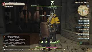 [FF14/PS5PRO]光の戦士